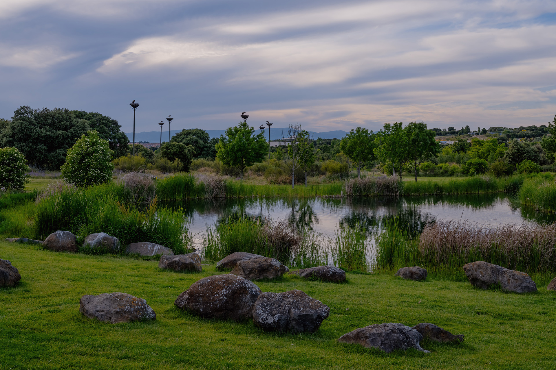 Forest area 'El Bosque'